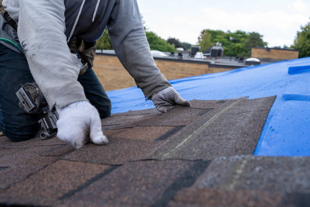 Best Commercial Roofing Services  in Sebree, KY